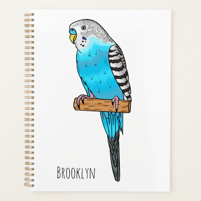 Illustration de l'oiseau bleu budgerigar (Devant)