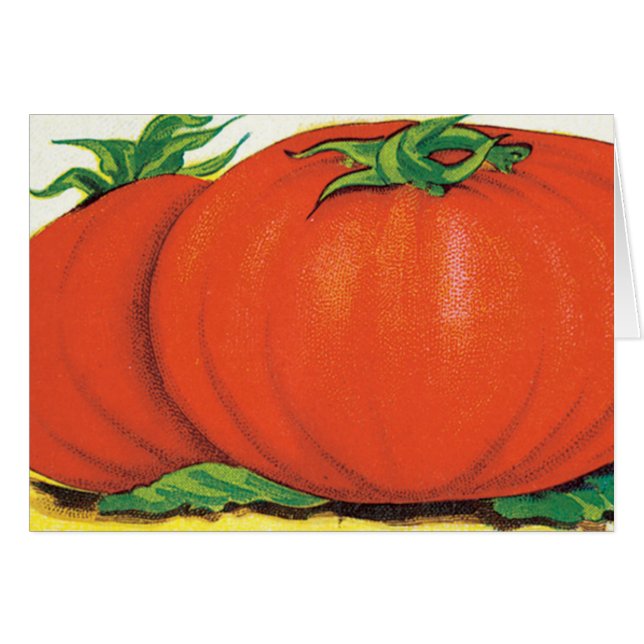 Illustration de paquet de graines vintage, tomates (Devant horizontal)