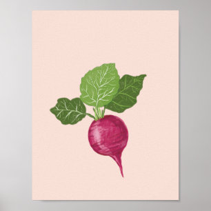Illustration de radis - Art mural de légumes