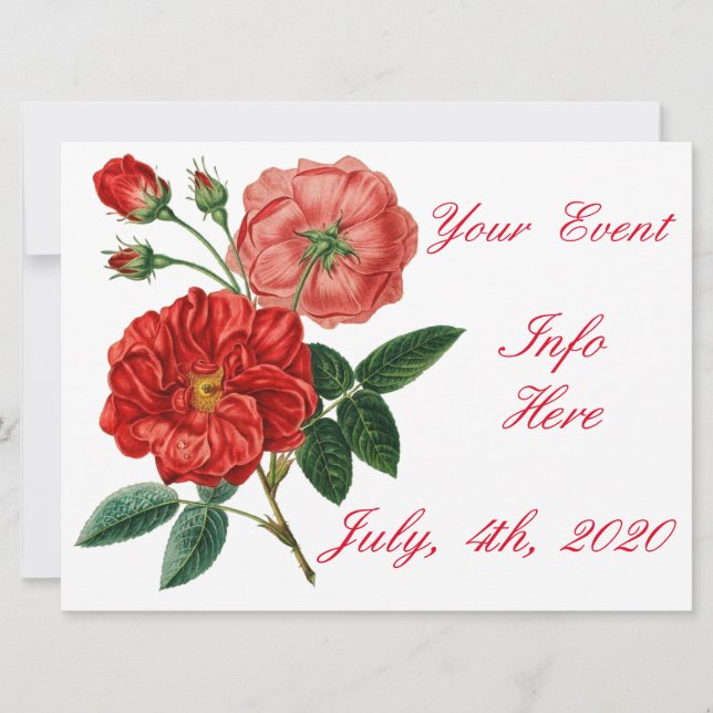 Illustration de rose rouge vintage Thunder_Cove (Devant)