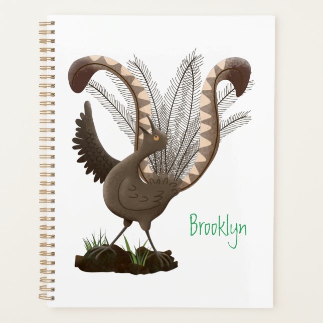 Illustration de superbe et superbe lyrebird (Devant)