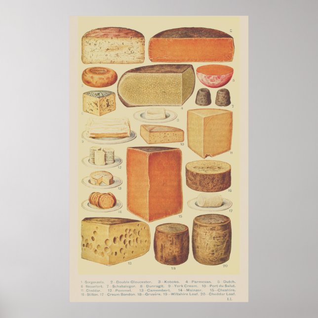 Illustration de tableau de fromages vintage menu d (Devant)
