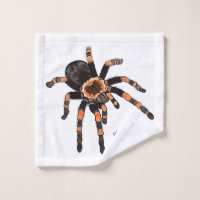 Illustration de Tarantula
