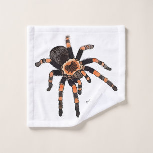 Illustration de Tarantula