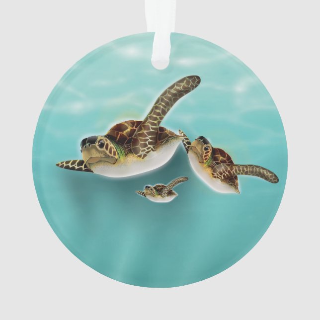 Illustration de tortues marines (dos)