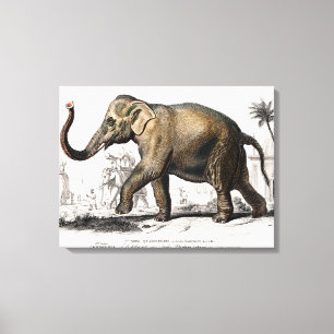 Illustration d'éléphant Impression d'art vintage
