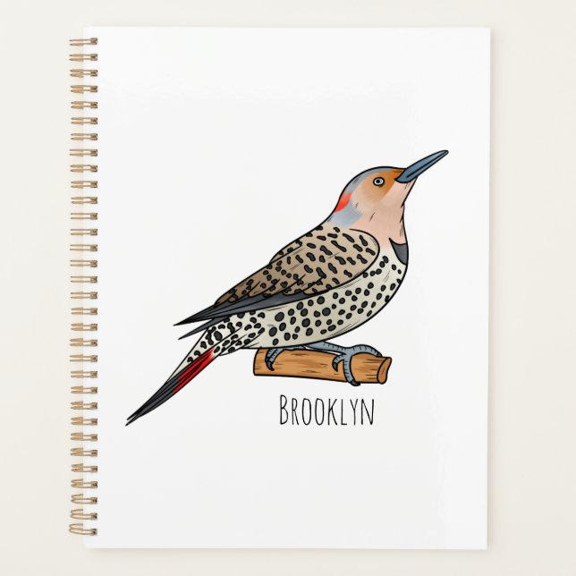 Illustration d'oiseau de scintillement du Nord (Devant)