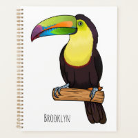 Illustration d'oiseau toucain à bec de Keel