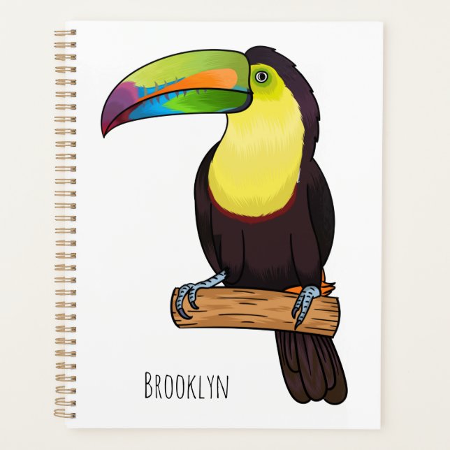 Illustration d'oiseau toucain à bec de Keel (Devant)