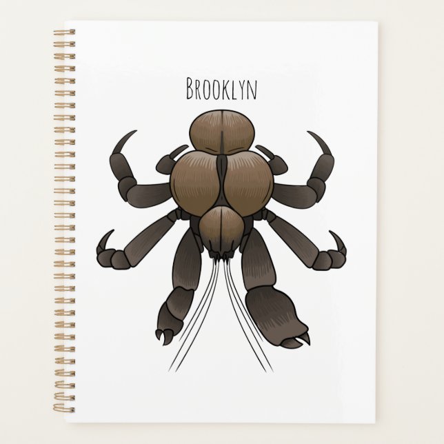 Illustration du crabe de coco (Devant)