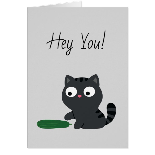 Illustration Kitty et Cucumber (Devant)