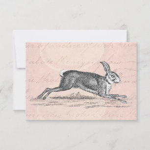 Illustration lapin lièvre vintage - lapins
