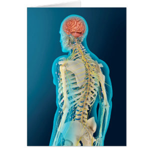 Illustration Médicale de l'esprit humain et du