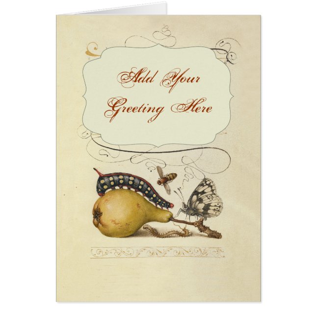 Illustration Papillon Abeille Fruit Insecte (Devant)