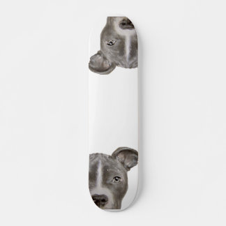 Illustration Pitbull Skateboard par miart