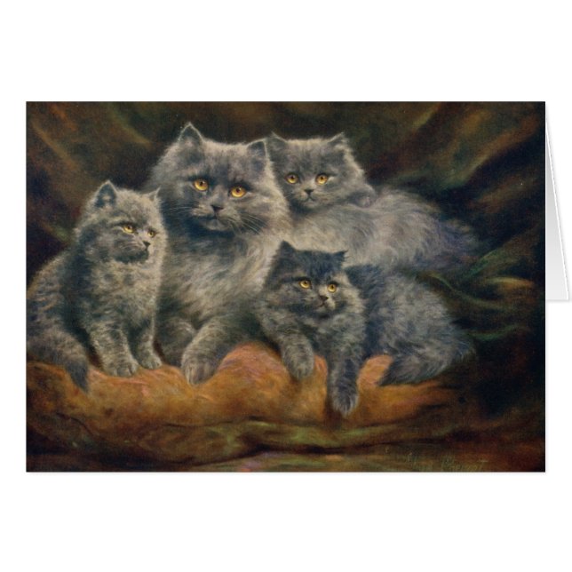 Illustration vintage - belle famille de chat, (Devant horizontal)