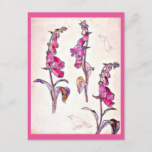 Illustration Vintage carte postale-Beatrix Potter