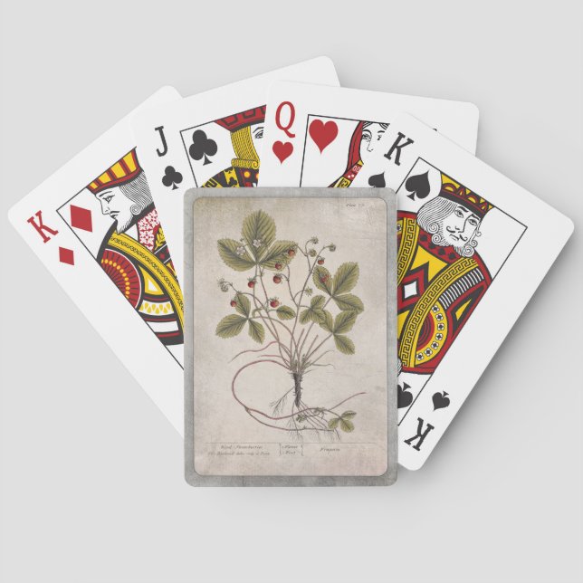 Illustration vintage Cartes de Jeu - Fraise (dos)