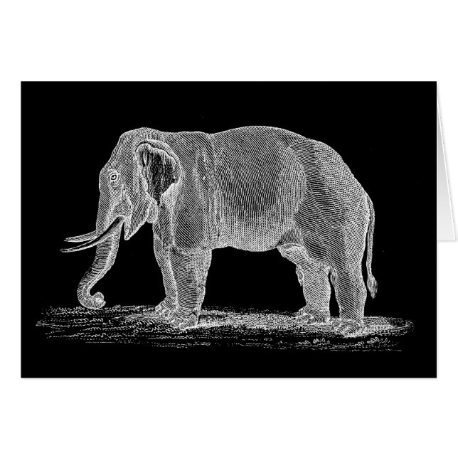 Illustration vintage de 1800s d'objet superflu (Devant horizontal)