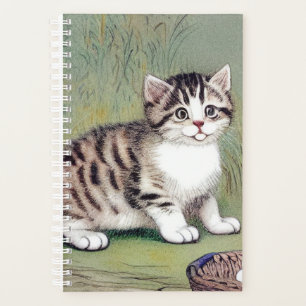 Illustration vintage de chaton rayé