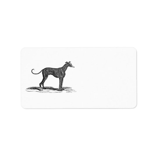 Illustration vintage de chien de lévrier de 1800s étiquettes d’adresse
