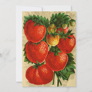Illustration vintage de la fraise Jessie
