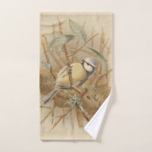 Illustration vintage de mésange bleue