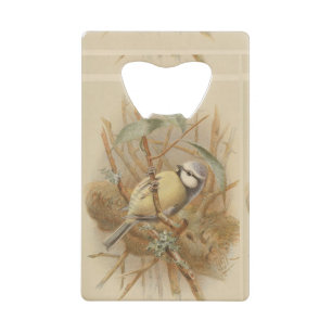 Illustration vintage de mésange bleue