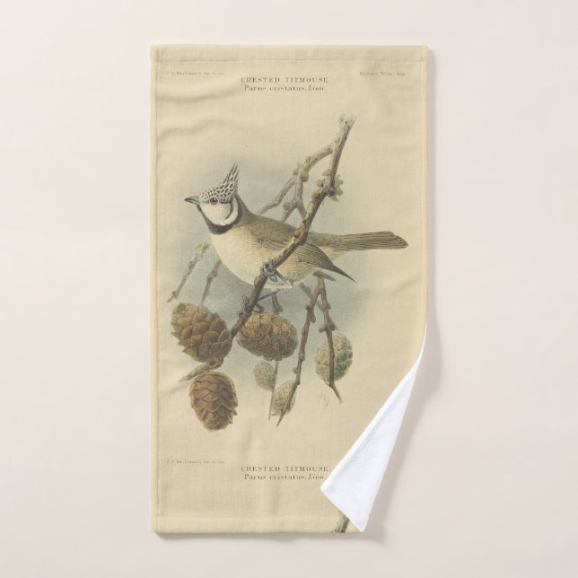 Illustration vintage de mésange huppée européenne (Serviette à main)