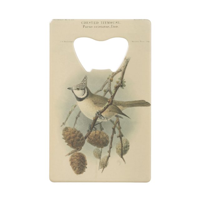 Illustration vintage de mésange huppée européenne (Devant)