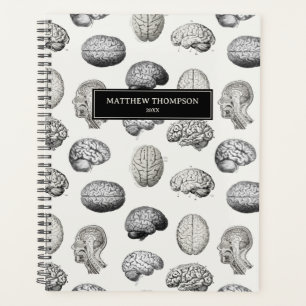 Illustrations Antiques d'Anatomie du Cerveau Biolo
