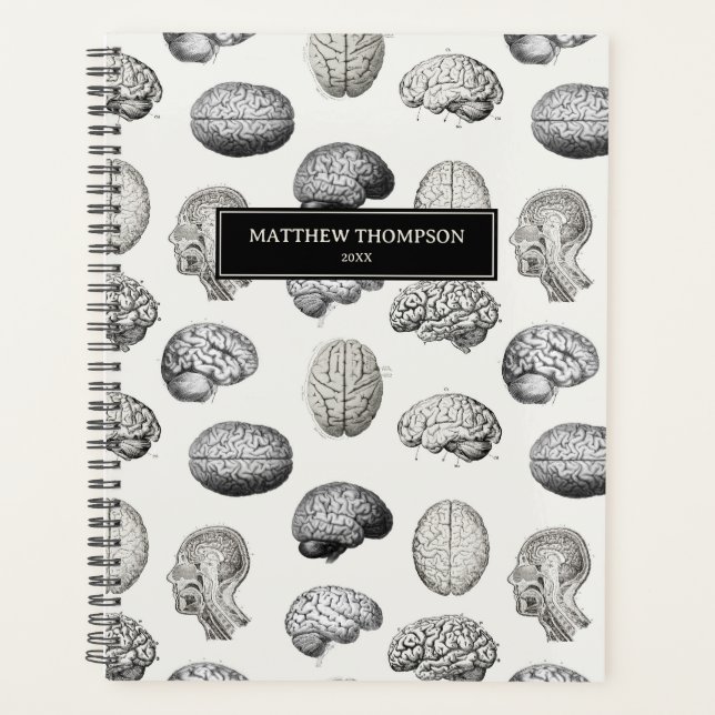 Illustrations Antiques d'Anatomie du Cerveau Biolo (Devant)