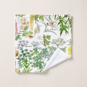 Illustrations botaniques