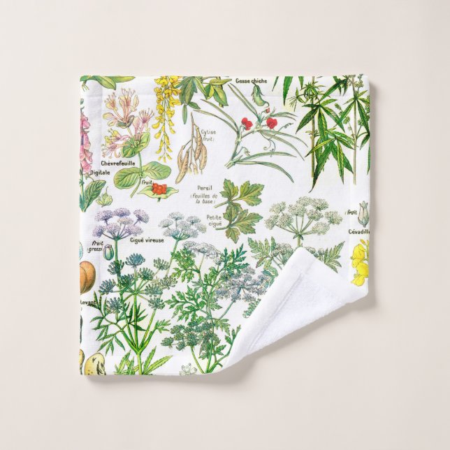 Illustrations botaniques (Gant de toilette)