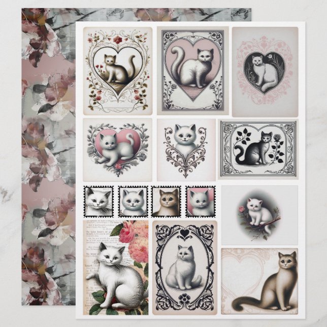 Illustrations de chaton noir et rose de style vint (Devant / Derrière)