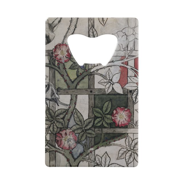 Illustrations originales pour la conception de (Devant)