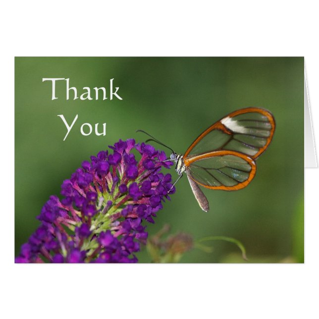 Ils m'appellent le Merci de l'aile claire (Devant horizontal)