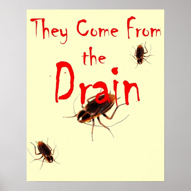 ILS VIENNENT DU DRAIN - Poster de cafard effrayant (Devant)