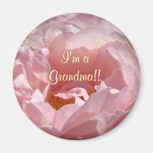 I'm a Grandma! magnet Sunlit Pink Rose Flower