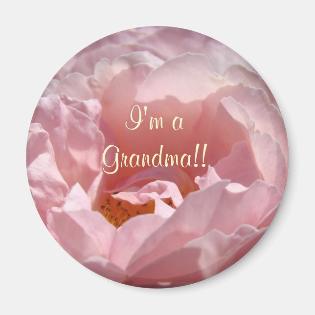 I'm a Grandma! magnet Sunlit Pink Rose Flower (Devant)