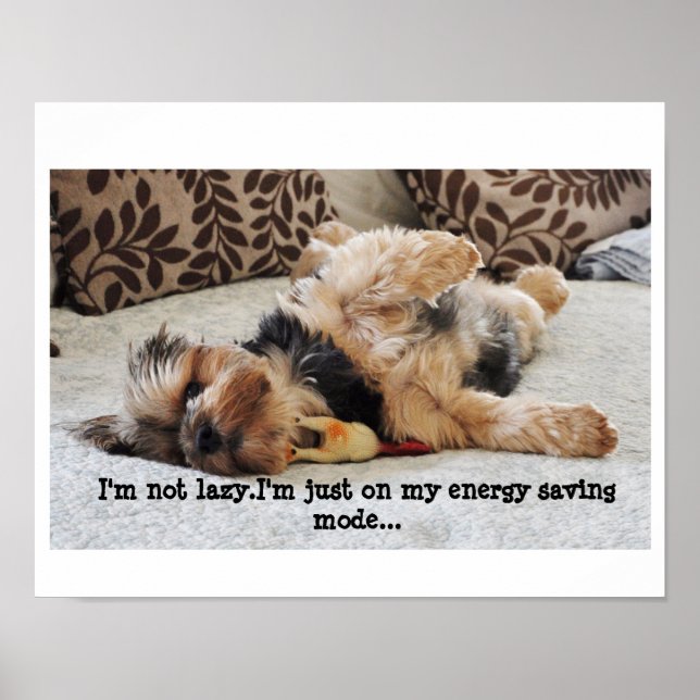 "I'm not lazy" Value Poster (Devant)