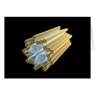 Image conceptuelle de Centriole