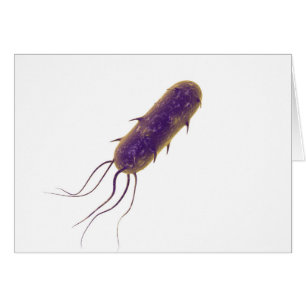 Image Conceptuelle De La Bactérie Flagellée 2