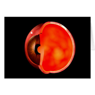 Image conceptuelle de la section transversale 1