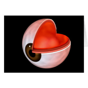 Image Conceptuelle De L'Anatomie Des Yeux Humains