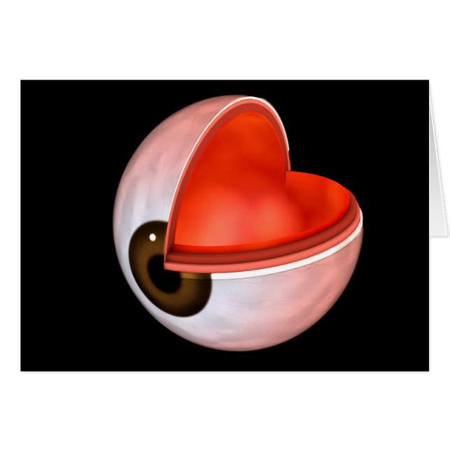 Image Conceptuelle De L'Anatomie Des Yeux Humains  (Devant horizontal)