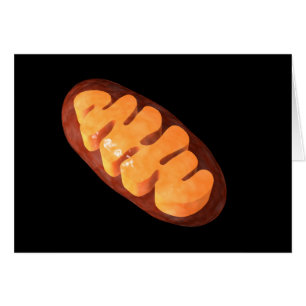 Image Conceptuelle De Mitochondria 1