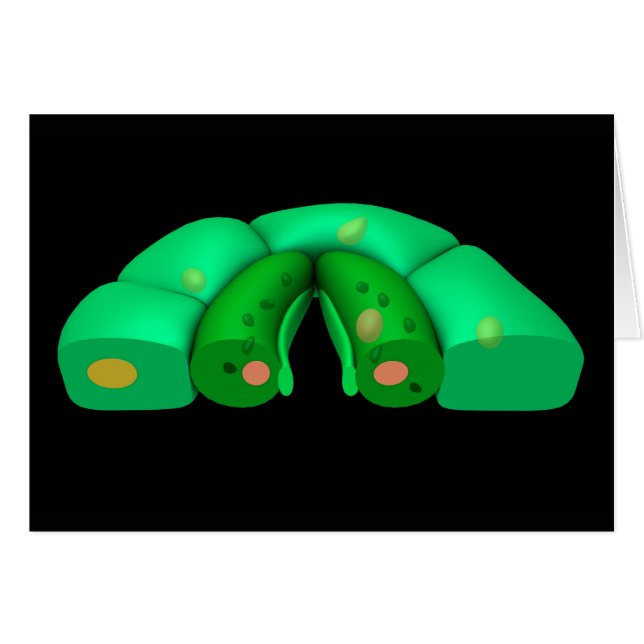 Image Conceptuelle De Stomata 2 (Devant horizontal)