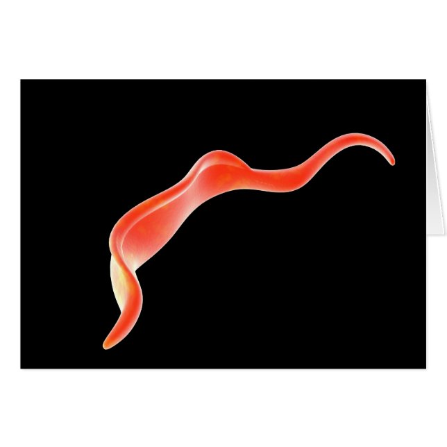 Image Conceptuelle De Trypanosoma 2 (Devant horizontal)