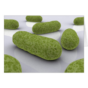 Image Conceptuelle Des Bactéries 1